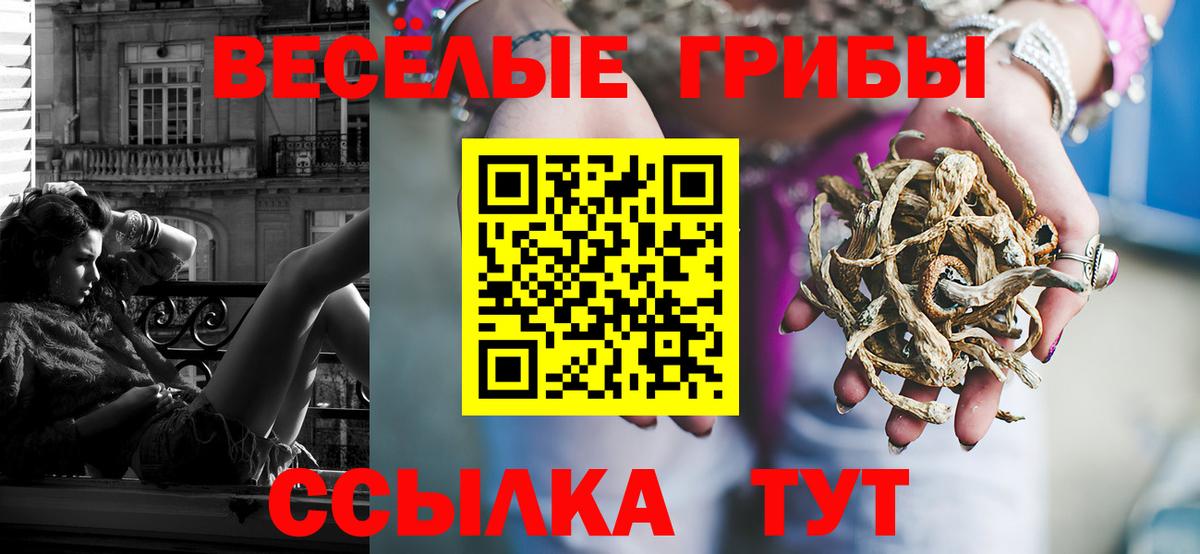 Бийск  где купить   Вход с VPN  Галлюциногенные грибы прущие грибы  Псилоцибиновые грибы мухоморы 