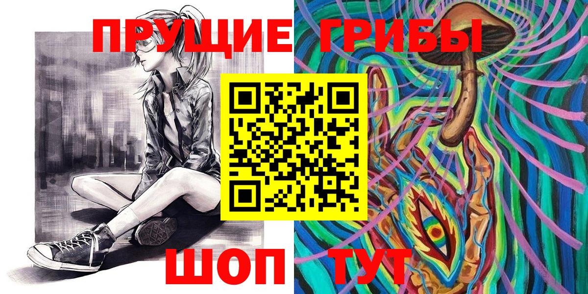 Псилоцибиновые грибы Cubensis Бийск